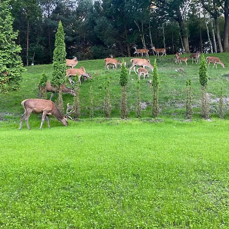 בית נופש Z Bali Deluxe